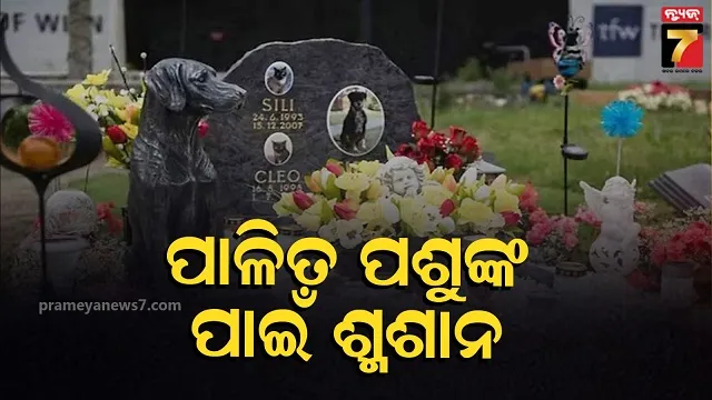 Pets Creamtion: ଏହି ଦେଶରେ ଏମିତି ନିୟମ, ପାଳିତ ପଶୁଙ୍କ ସତ୍କାରରେ ଖର୍ଚ୍ଚ ହୁଏ ପ୍ରଚୁର ଟଙ୍କା
