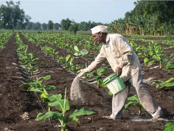 India's fertilizer production decreased 
