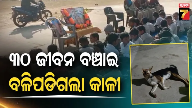 ପାଠ ପଢୁଥିଲେ କୁନି ପିଲା, ହଠାତ୍ ଆସିଲା ବିଷାକ୍ତ ସାପ: ହିରୋ ପରି ଲଢିଲା ପୋଷା ଜନ୍ତୁ