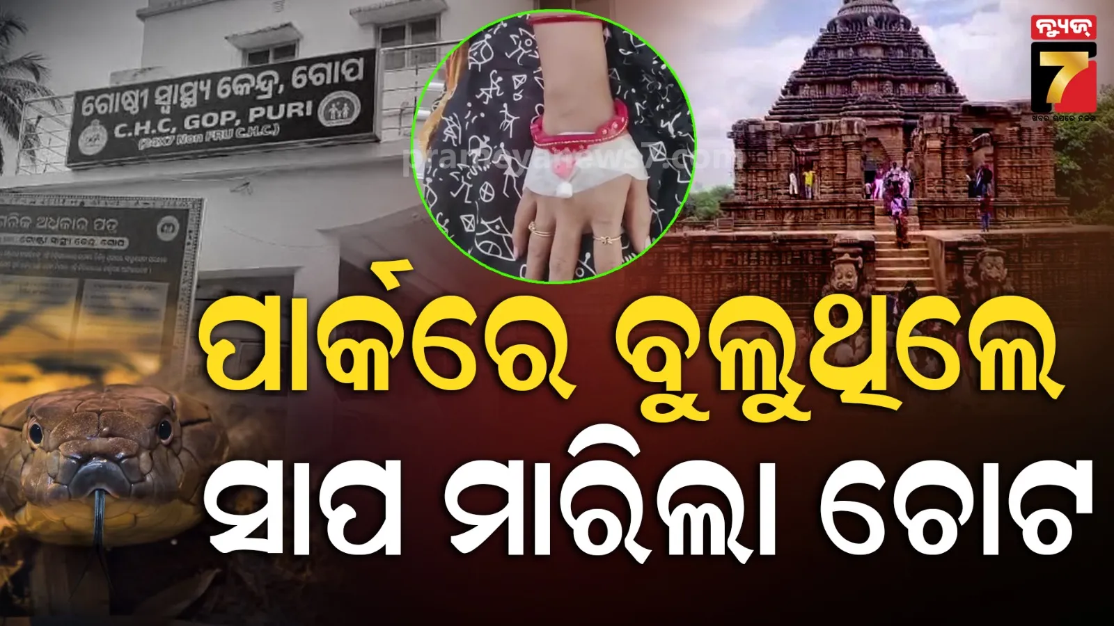 ସୂର୍ଯ୍ୟମନ୍ଦିରରୁ ବାହାରିଲା ବିଷାକ୍ତ ସାପ, ପାର୍କରେ ବୁଲୁଥିବା ମହିଳାଙ୍କୁ ଦଂଶିଲା…