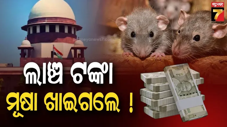 Supreme Court has stayed the conviction of a Bihar government official in a bribe case