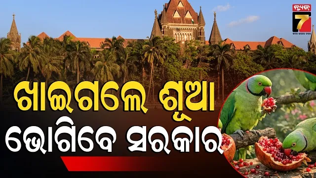 ଖାଇ ଖାଇ ଚଳୁ କରିଦେଲେ ଶୂଆପଲ, ମାମଲା ପହଞ୍ଚିଗଲା ଶେଷକୁ କୋର୍ଟରେ