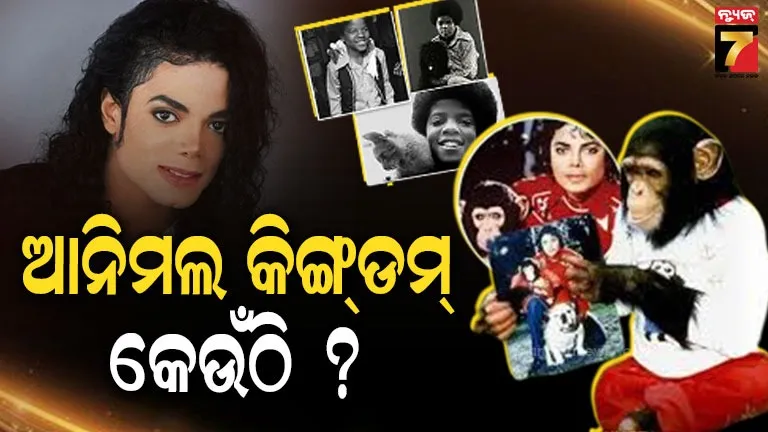 M.J All Pets: ସିମ୍ପାଜୀ, ବାଘ, ହାତୀ ଏବଂ ସାପ, ମାଇକେଲ୍‌ଙ୍କ ଯିବା ପରେ କୁଆଡେ ଗଲେ ପାଳିତ ପଶୁ..