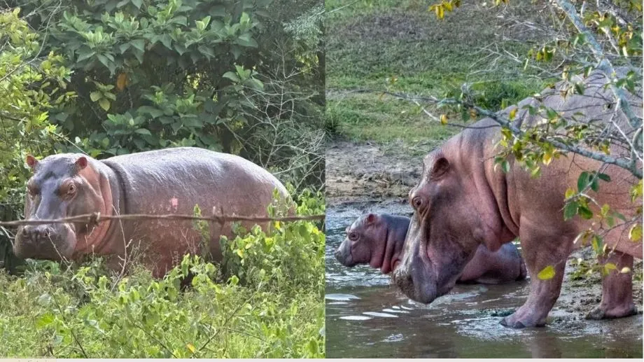 anant ambani appealed Colombia govt 