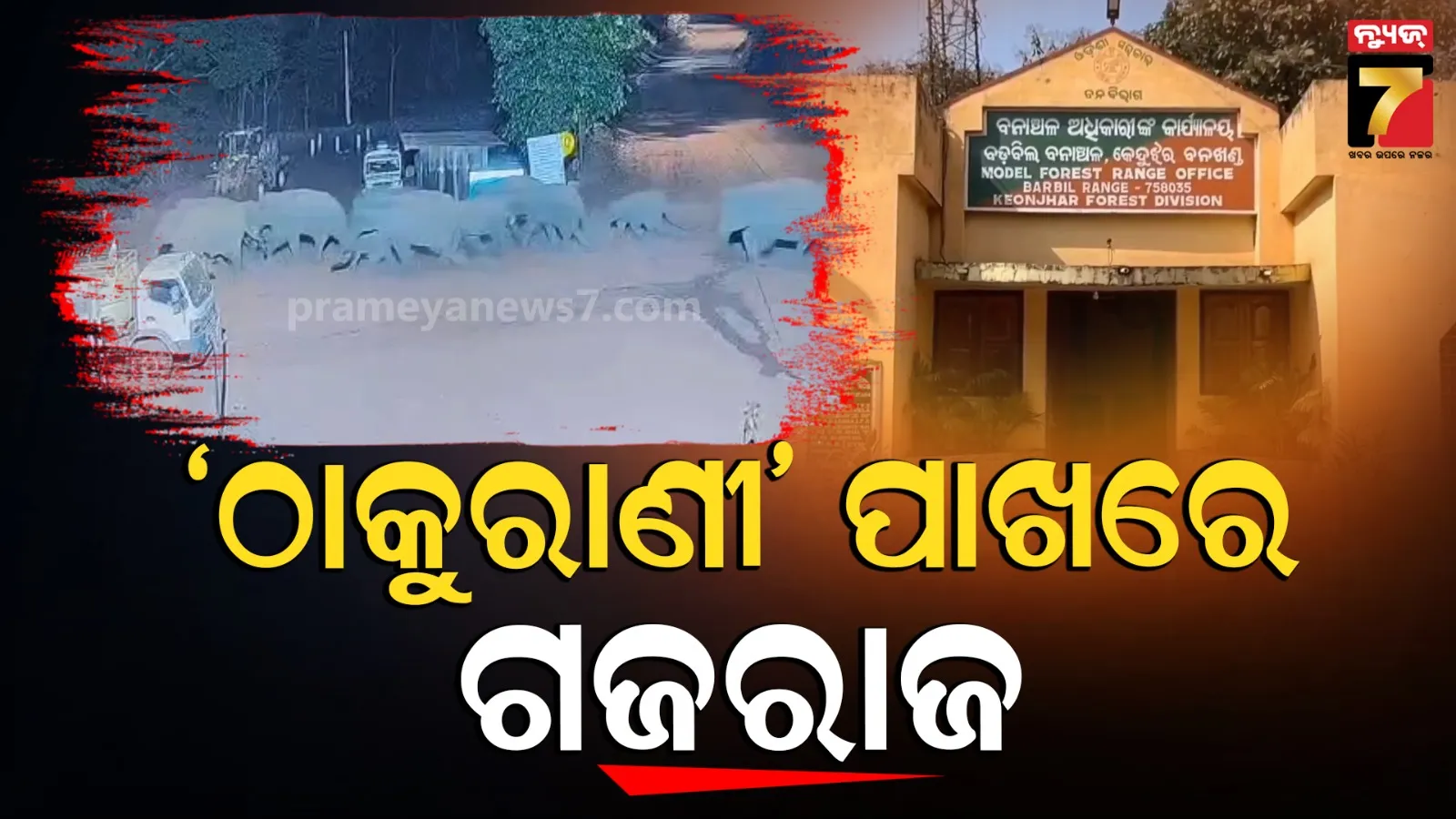 Elephant spotted near mining area