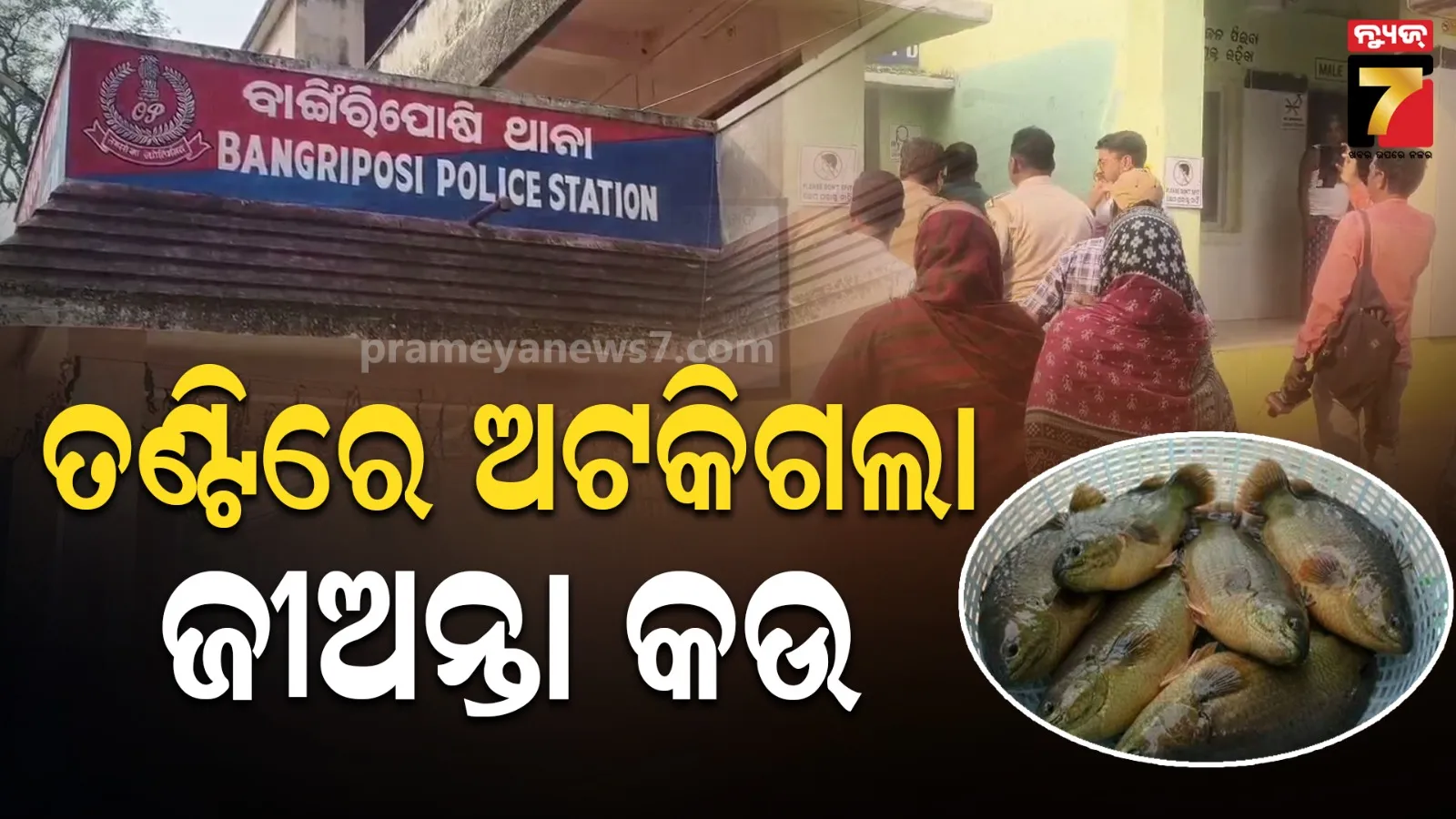 ମାଛ ଧରିବା ବେଳେ ପାଟିରେ ପଶିଗଲା ଜୀବନ୍ତ କଉ ମାଛ, ଚାଲିଗଲା ଯୁବକଙ୍କ ଜୀବନ