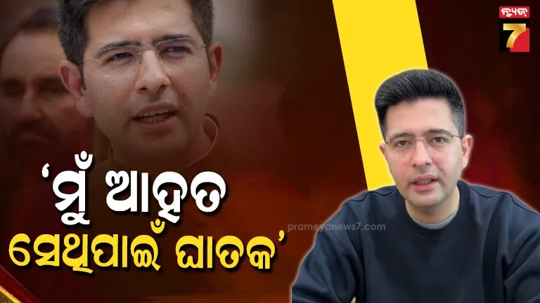 Rajya Sabha MP Raghav Chadha Aam Aadmi Party