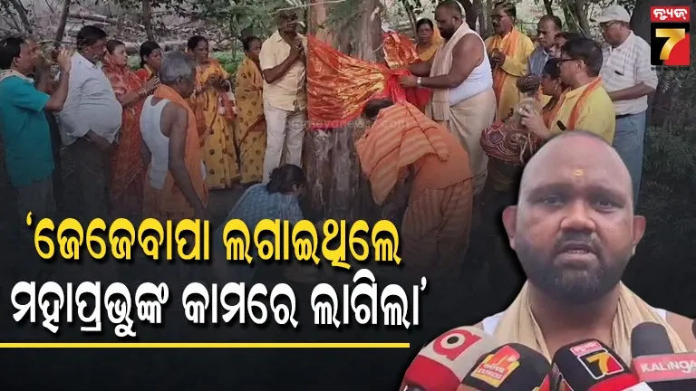 ମହାପ୍ରଭୁଙ୍କ ରଥ ନିର୍ମାଣରେ ଲାଗିବ ଅନୁଗୋଳର ଫାଶି, ଭକ୍ତିମୟ ପରିବେଶରେ ଗଛ ଛେଦନ