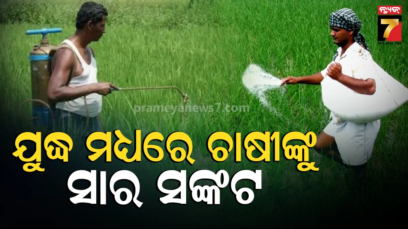 Iran War Impact on Agriculture: ଭାରତରେ ଦେଖାଦେଲା ୟୁରିଆ, ସାର ଓ କୀଟନାଶକ ସଙ୍କଟ, ଖରିଫ୍ ଋତୁରେ ଚାଷୀଙ୍କୁ ମିଳିବ ତ ସାର?