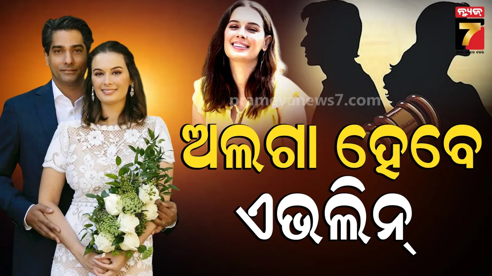 ବିବାହର ୫ ବର୍ଷ ପରେ ଛାଡପତ୍ର ନେବେ ଏଭଲିନ, କହିଲେ-ଆମେ ଏବେ ଭଲ ସାଙ୍ଗ