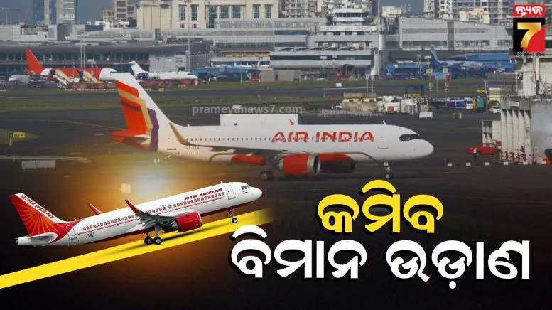 Air India to cut 100 flights daily 