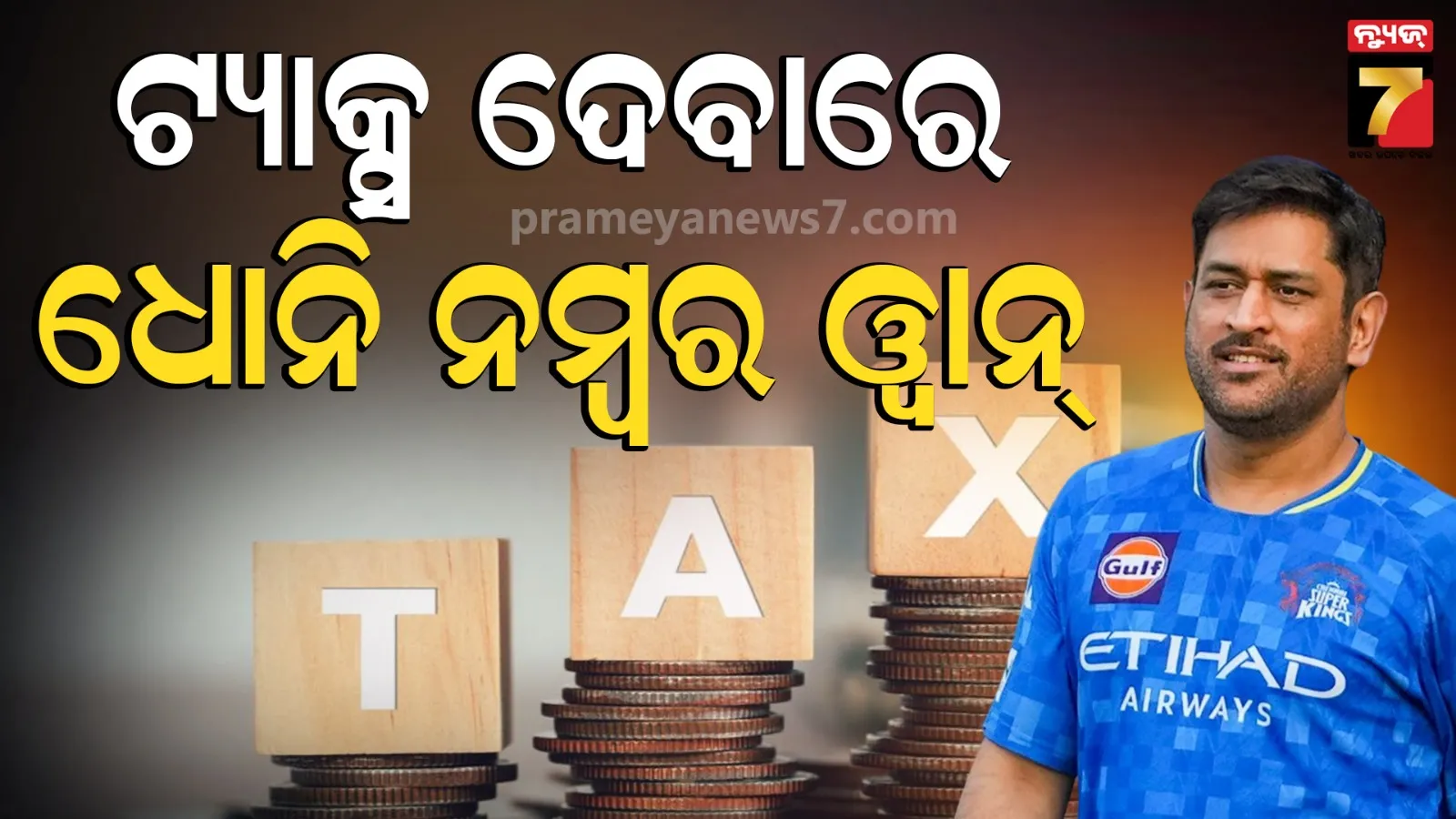 MS Dhoni income details