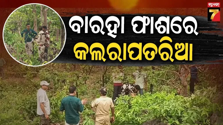 Nilagiri News