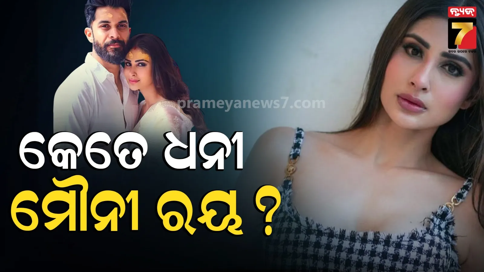 Mouni Roy Net Worth 2026