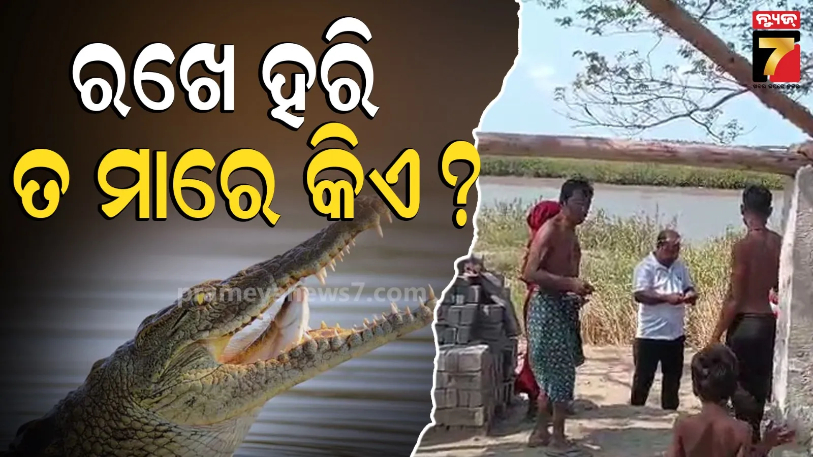 Crocodile Fear : ନଦୀରେ ମାଜୁଥିଲେ ବାସନ, ମହିଳାଙ୍କୁ ଟାଣି ନେଇଗଲା କୁମ୍ଭୀର
