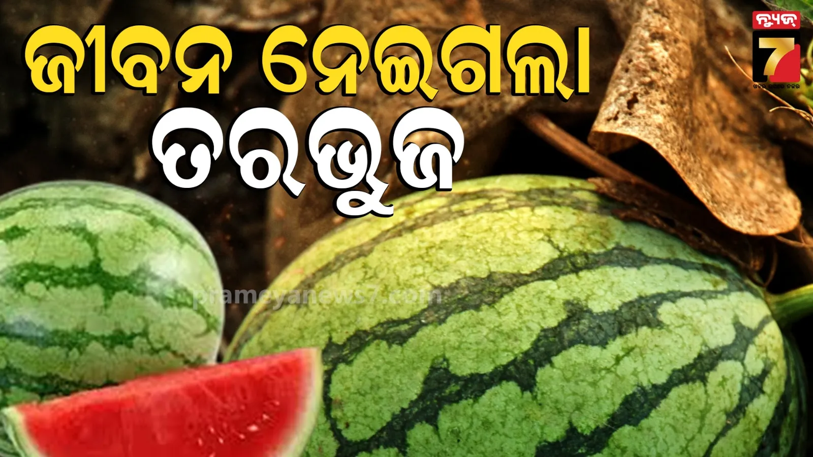 Kendrapara News