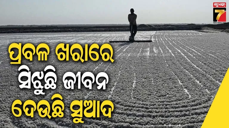 ଲୁଣ ଉତ୍ପାଦନ ପାଇଁ ଗୁଜରାଟରେ ଡହଡହ  ଖରାରେ ବି କାମ କରୁଛନ୍ତି ଲୋକେ, ଜୀବନରେ ଭରି ଦେଉଛନ୍ତି ସୁଆଦ 