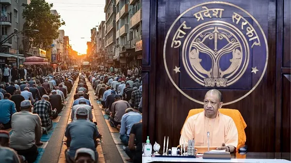 YOGI