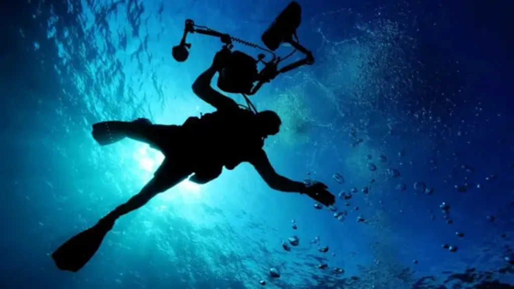 Maldiv divers