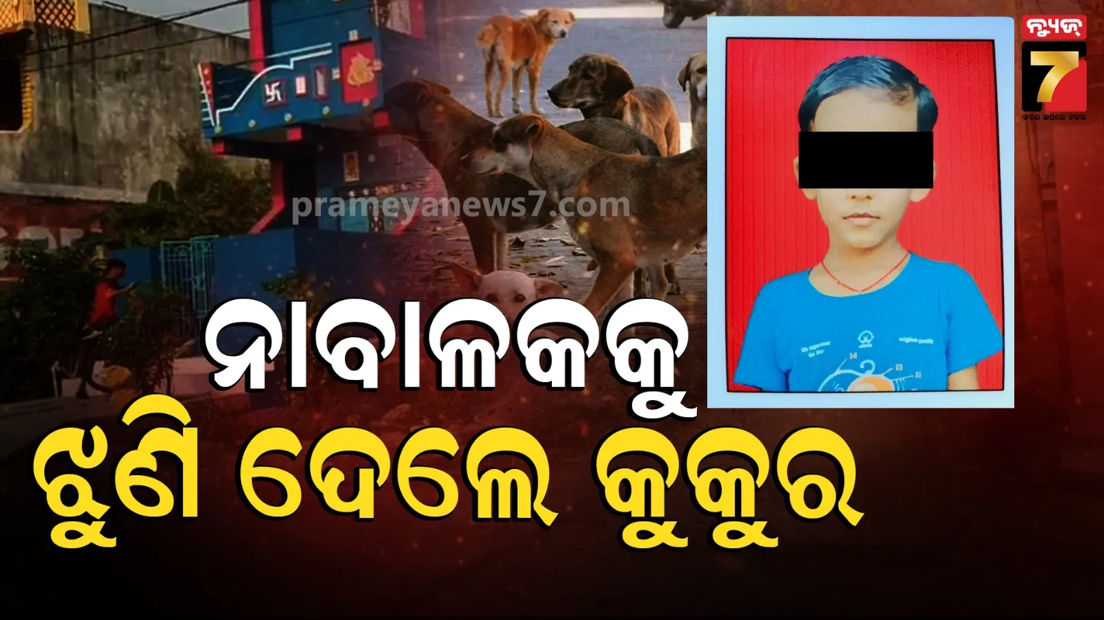 Ganjam News : ୯ ବର୍ଷର ନାବାଳକକୁ ଝୁଣି ଦେଲେ କୁକୁର, ମୁଣ୍ଡରୁ ଖପୁରୀ କାଢି ଦେଲେ ...