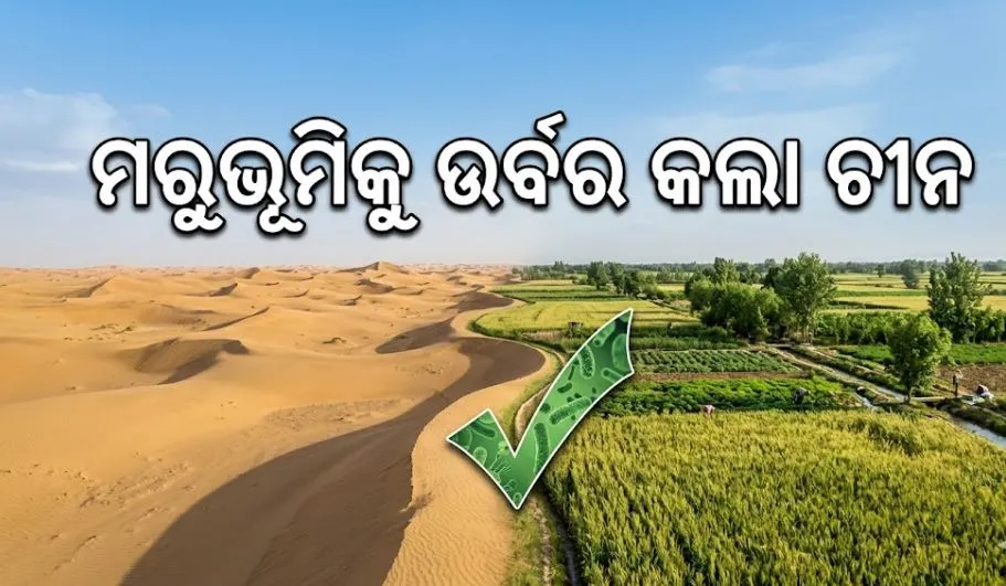 China is turn desert into fertile soil