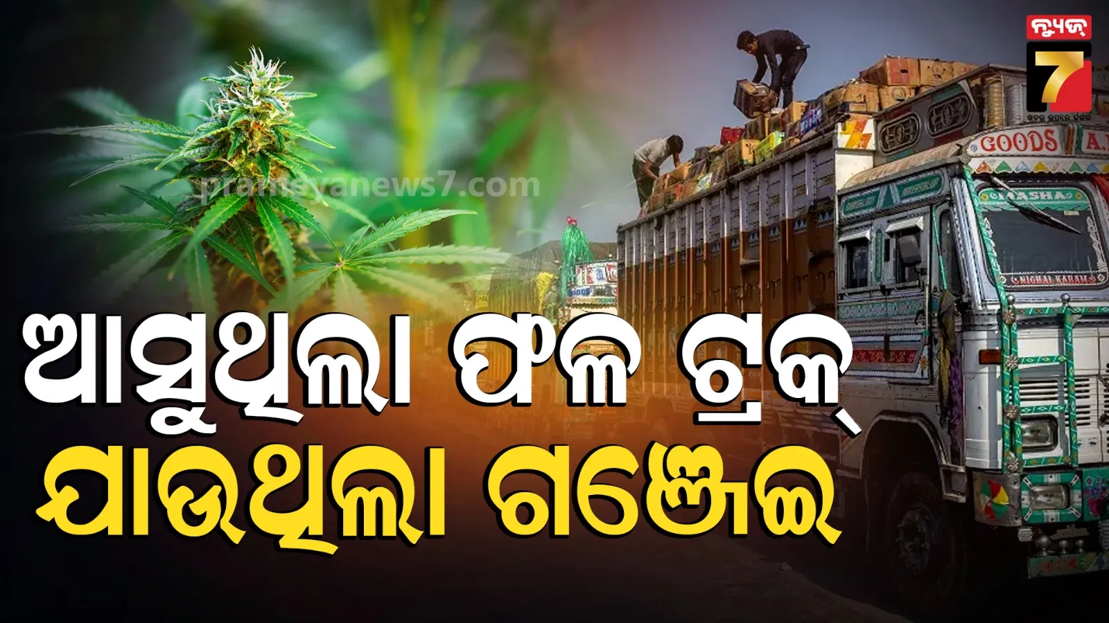 ପାକିସ୍ତାନରେ ଓଡ଼ିଶା ଗଞ୍ଜେଇର ଡିମାଣ୍ଡ, NCB ପଞ୍ଝାରେ ଜମ୍ମୁକାଶ୍ମୀରର ୨ ବେପାରୀ