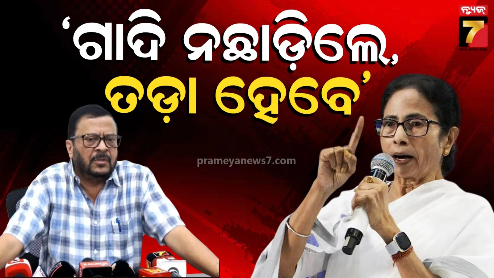 mamata