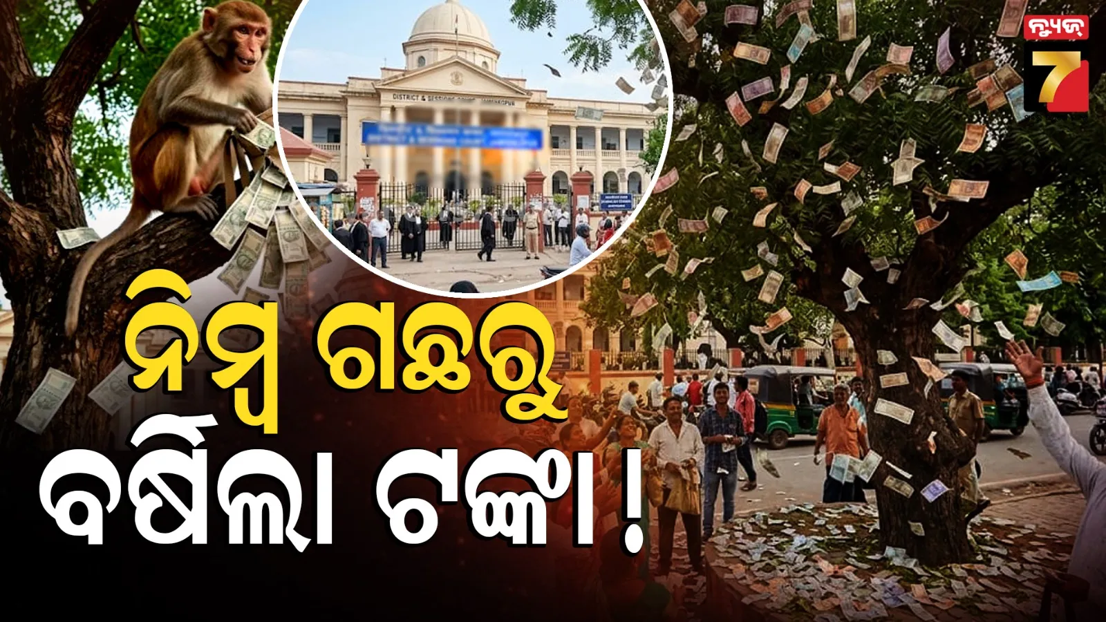 Bulandshahr Court Cash Rain: କୋର୍ଟ ପରିସରରୁ ୨ ଲକ୍ଷ ଟଙ୍କାର ବ୍ୟାଗ୍ ଝାମ୍ପି ନେଲା ମାଙ୍କଡ଼, ଗଛରୁ ହେଲା ୫୦୦ ଟଙ୍କିଆ ନୋଟ୍ ବର୍ଷା 