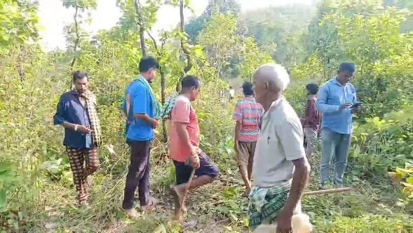ଜଙ୍ଗଲକୁ ଯାଇ ଫେରିନଥିଲେ, ସକାଳୁ ସକାଳୁ ମିଳିଲା କ୍ଷତାକ୍ତ ଦୁଇ ଗୋଡ଼ ସହ ଲୁଙ୍ଗି