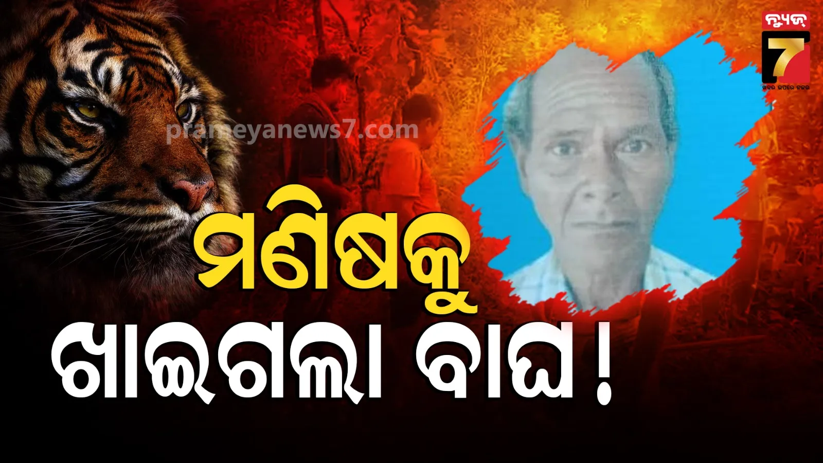 Karanjia News