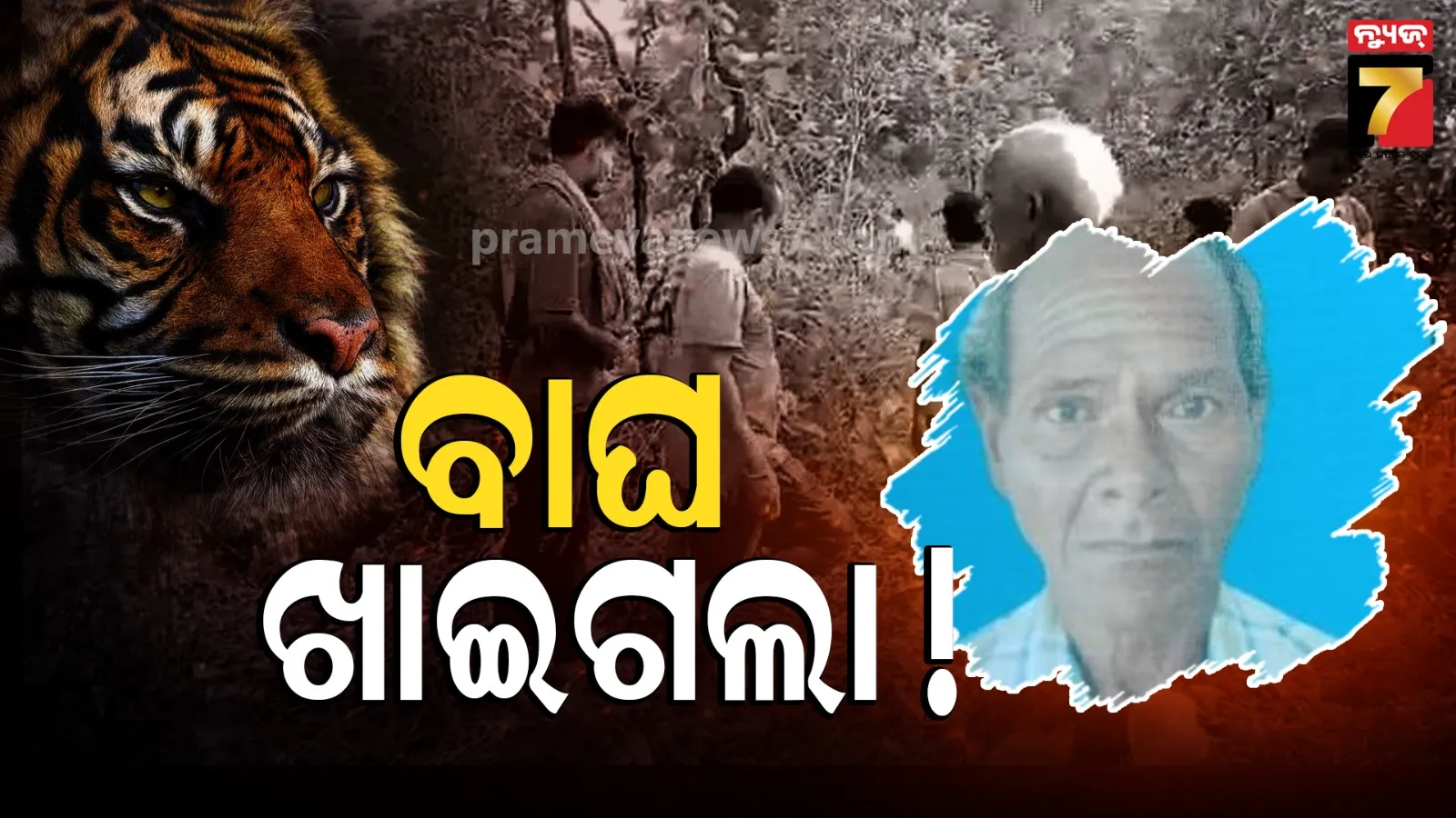 Karanjia News