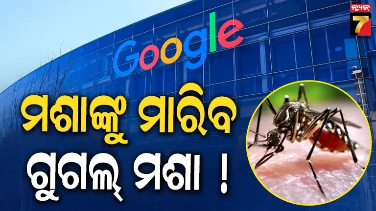 ମଶା ବଂଶ ଲୋପ କରିବାକୁ ୩.୨ କୋଟି ମଶା ଛାଡ଼ିବ Google, କାମରେ ସାହାଯ୍ୟ କରିବ AI
