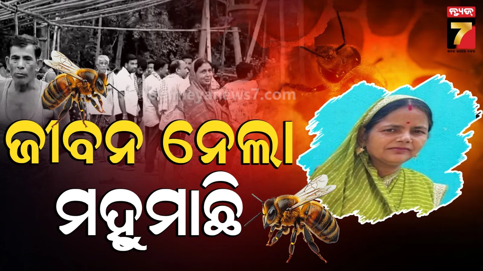 Honey Bee Attack: ଶାଶୁଙ୍କ ଶ୍ରାଦ୍ଧରେ ବୋହୂଙ୍କୁ ବିନ୍ଧି ମାରିଦେଲେ ହଜାର ହଜାର ମହୁମାଛି, ୧୨ରୁ ଅଧିକ ଆହତ