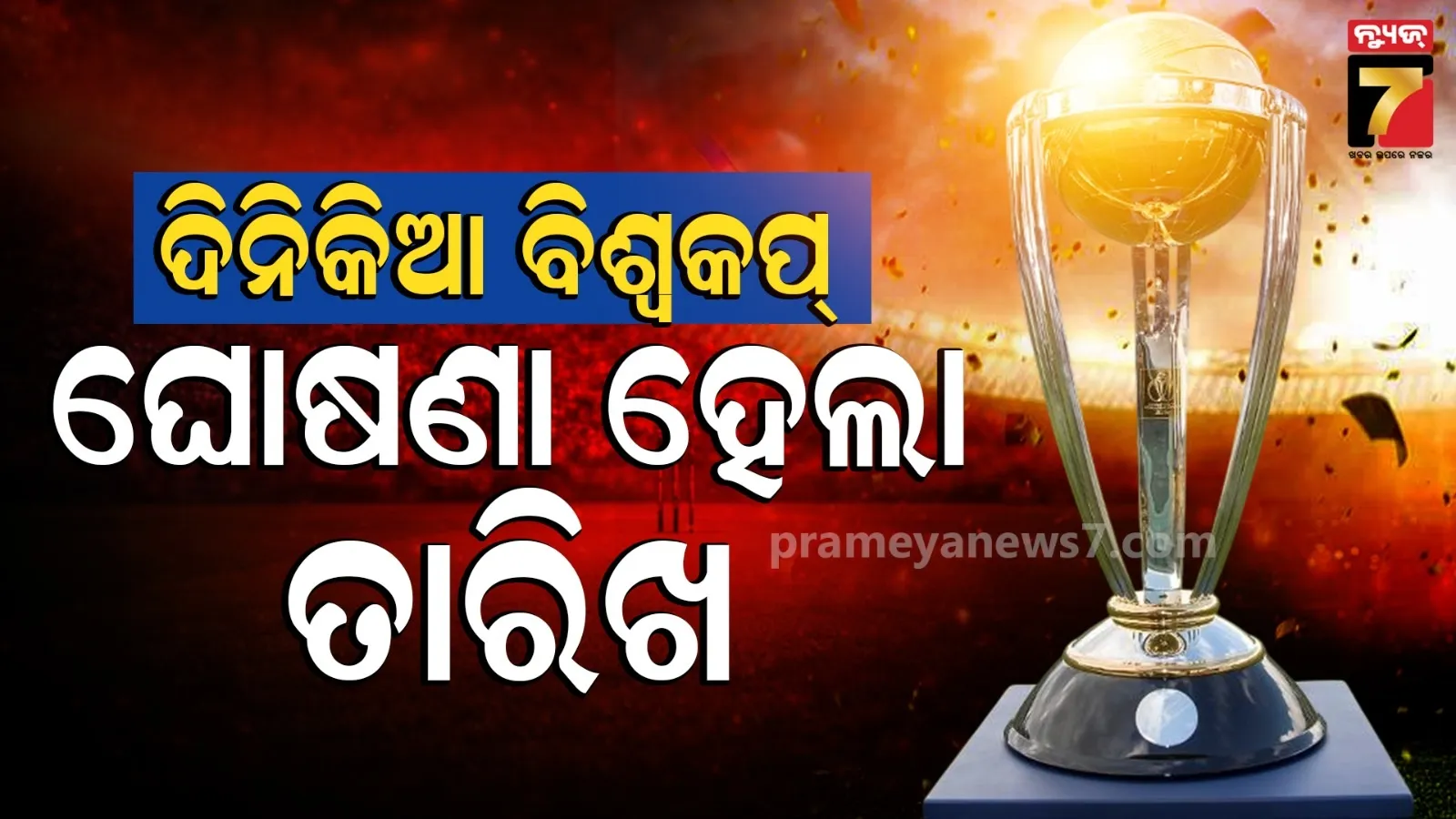 cricket world cup