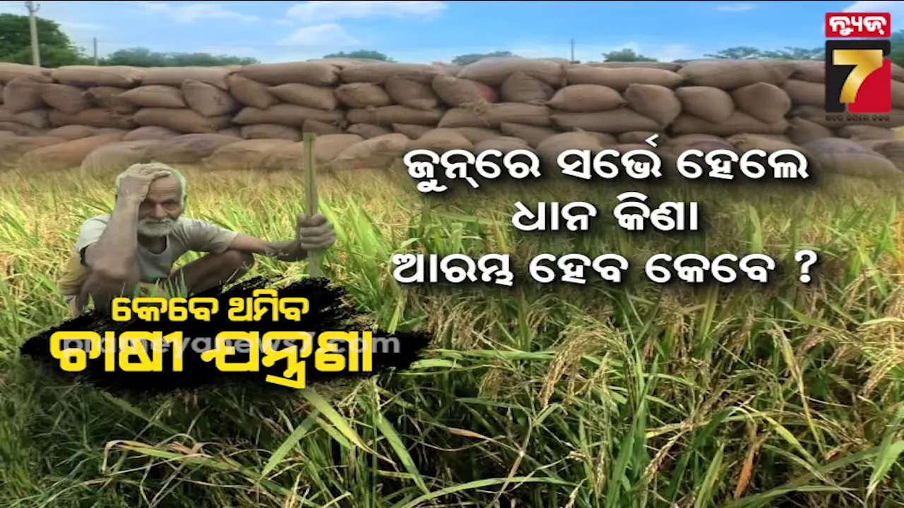 When Will Paddy Procurement Start If Survey Happens In June?