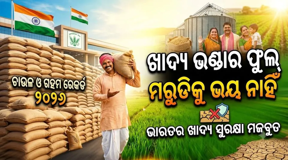 ଉଛୁଳିଲା ଭାରତର ଖାଦ୍ୟ ଭଣ୍ଡାର, ଚାଉଳ-ଗହମର ରେକର୍ଡ ଷ୍ଟକ୍, ଏଲ ନିନୋ ପ୍ରଭାବରେ ମରୁଡି ହେଲେ ଭୟ ନାହିଁ 