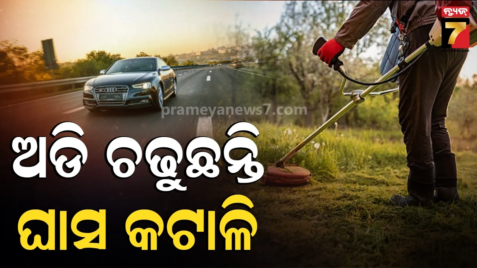 ଦରମା ୧୫ ଲକ୍ଷ ଟଙ୍କା, ପାଖରେ ଅଛି ଅଡି କାର୍ ! ଆମେରିକାର ଘାସ କଟାଳିଙ୍କ ସମ୍ପତ୍ତି ଶୁଣିଲେ କରିବେ ଇର୍ଷା