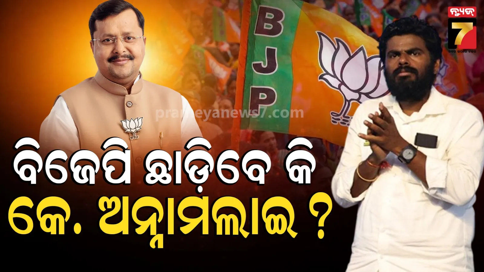 K Annamalai BJP exit