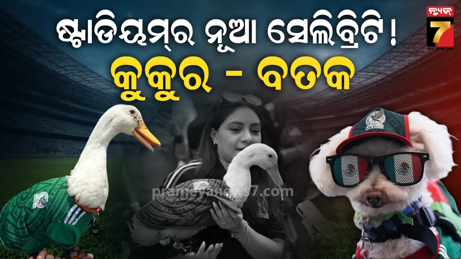 Viral World Cup mascots