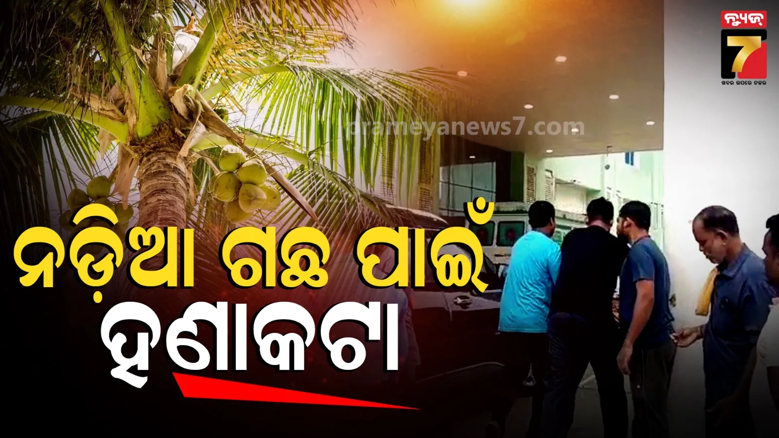 Family Dispute: ନଡ଼ିଆ ଗଛକୁ ନେଇ ଦୁଇ ଭାଇଙ୍କ ଝଗଡ଼ା, ଆକ୍ରମଣରେ କଟିଲା ସ୍ୱାମୀଙ୍କ ବାମ ଗୋଡ ଓ ସ୍ତ୍ରୀଙ୍କ ପାପୁଲି
