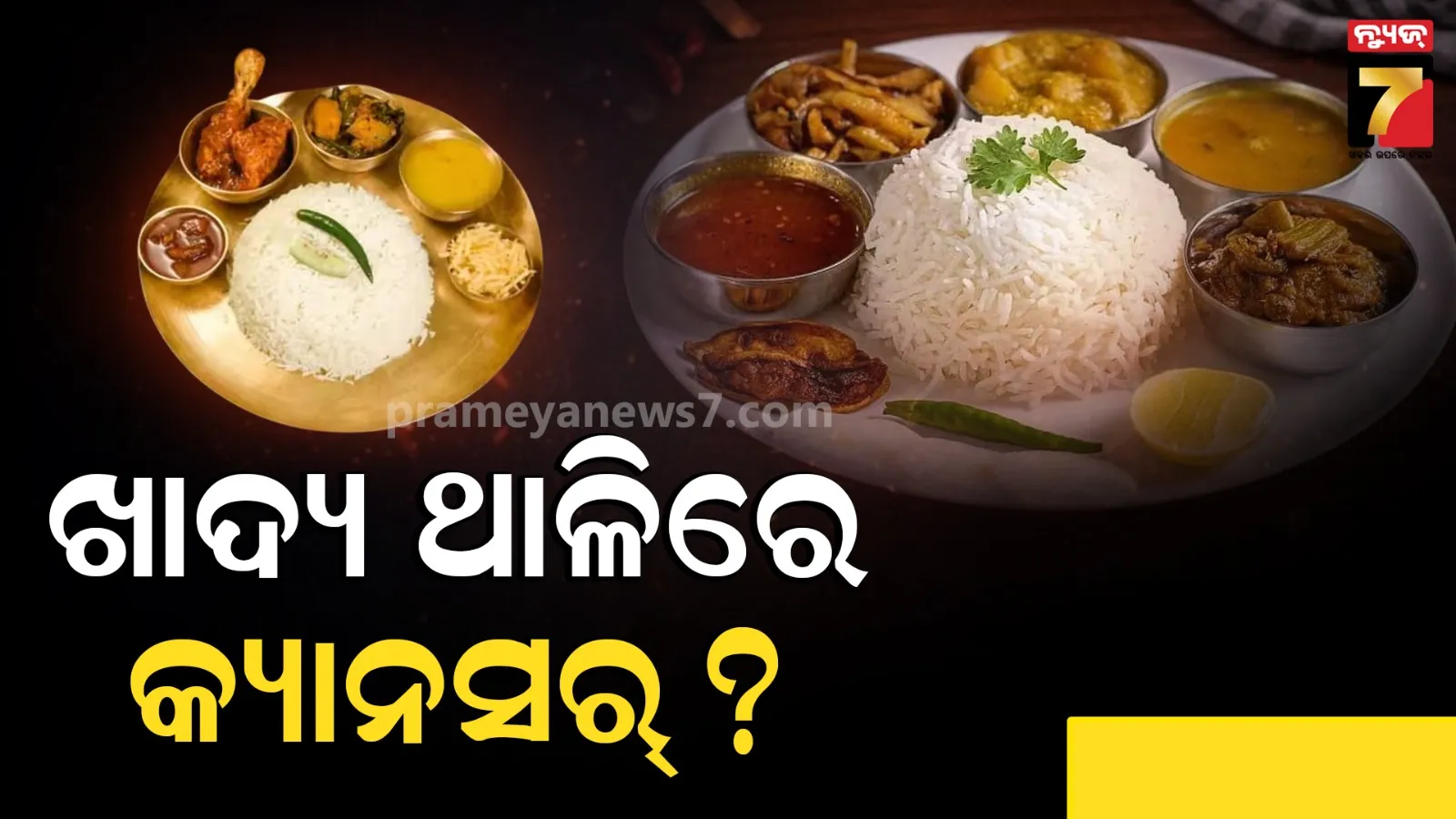 ଥାଳିରେ ପରସା ଯାଉଛି କର୍କଟ ରୋଗ ? ୟୁରୋପରେ ବ୍ୟାନ୍ କେମିକାଲ୍ ନେଉଛି ଭାରତୀୟଙ୍କ ଜୀବନ !