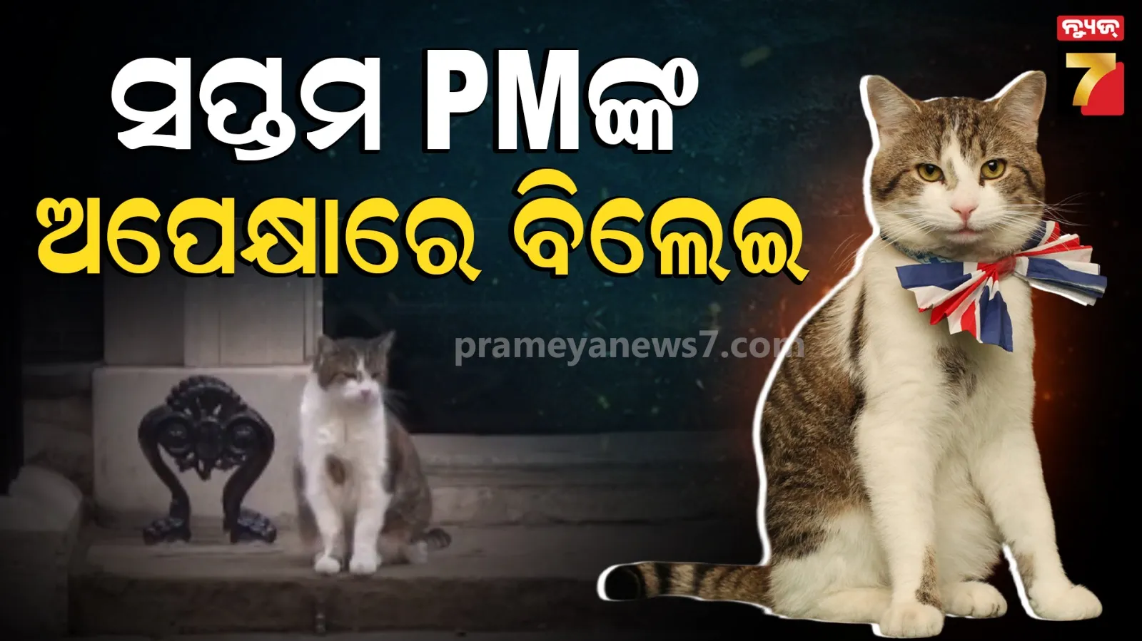 Keir Starmer: କେତେ ପ୍ରଧାନମନ୍ତ୍ରୀ ଆସିଲେଣି, ଗଲେଣି; ହେଲେ ସମାନ ପଦବୀରେ ରହିଆସିଛି Larry the Cat