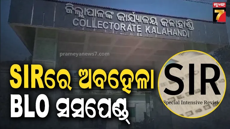 BLO suspended from his job for negligence in SIR work.