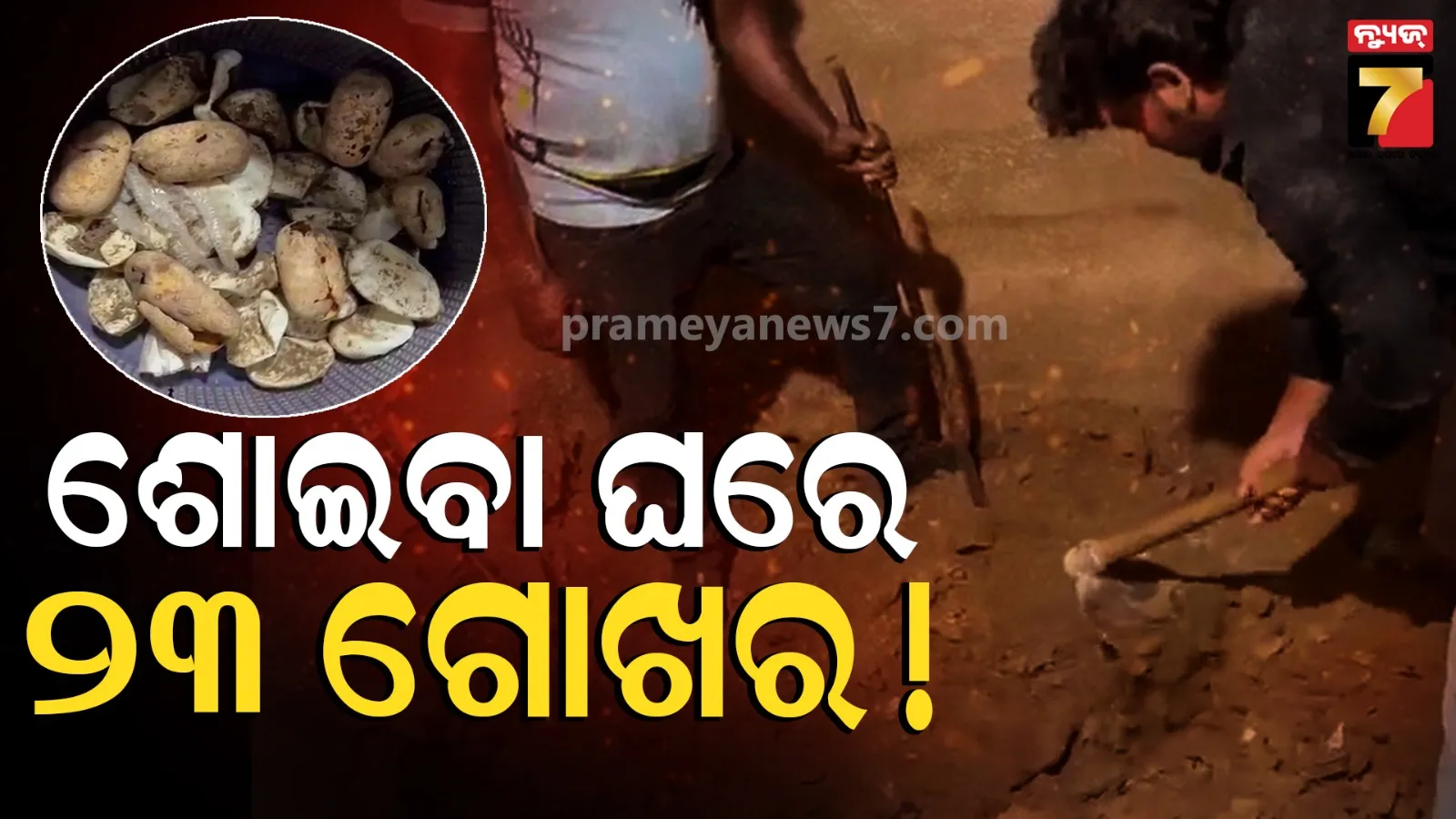 ଶୋଇବା ଘରେ ବିଷଧର ସାପ ସାଲୁବାଲୁ, ମାଟି ଚଟାଣ ତଳେ ଲୁଚି ରହିଥିଲା, ସତର୍କ କରାଇଲେ ସାପ ଧରାଳି