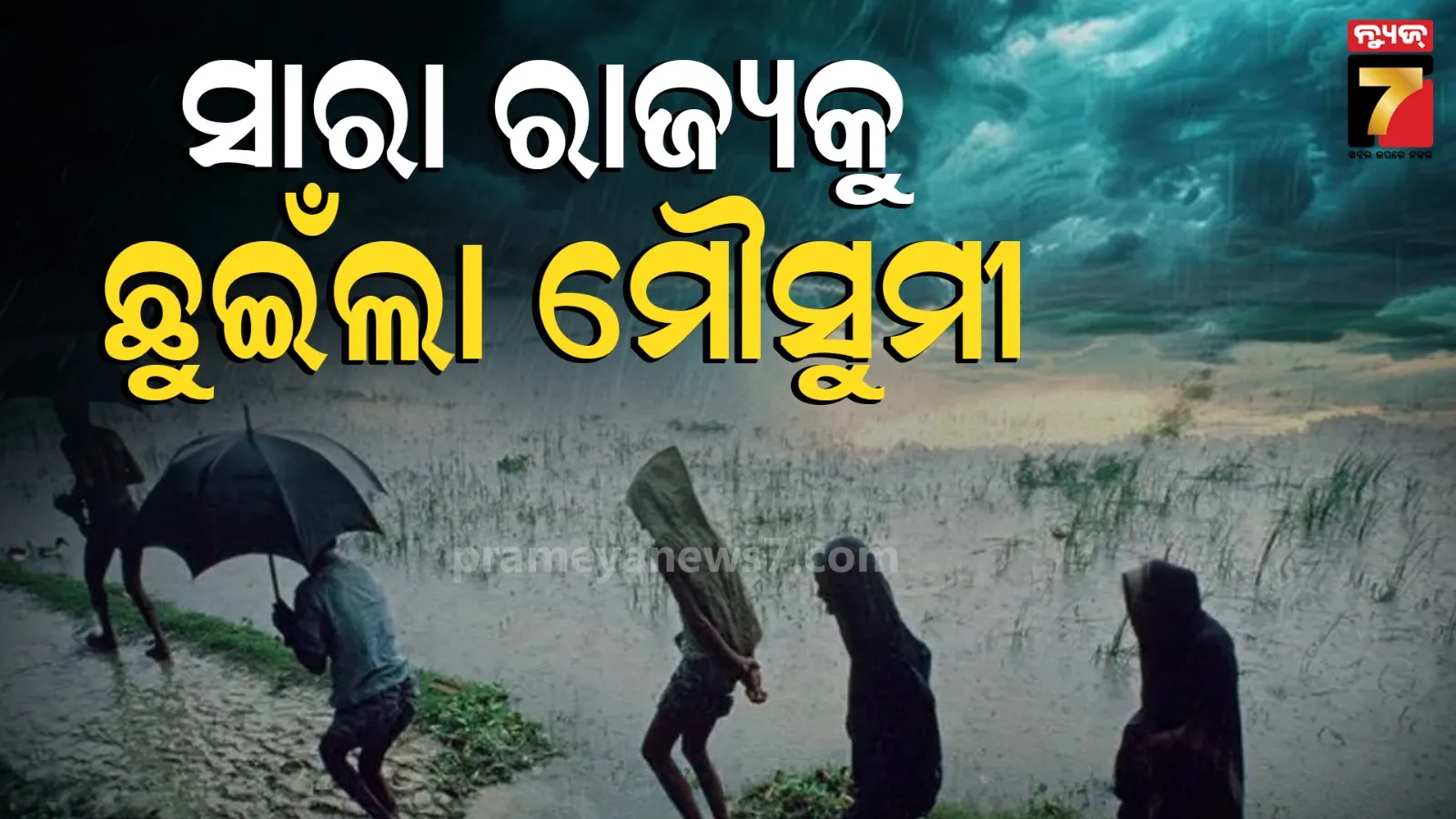 ସାରା ଓଡ଼ିଶାକୁ ଛୁଇଁଲା ମୌସୁମୀ, ୫ ଦିନ ପ୍ରବଳ ବର୍ଷିବ, ଏସବୁ ଜିଲ୍ଲାକୁ ଆଲର୍ଟ କରାଇଲା ପାଣିପାଗ ବିଭାଗ