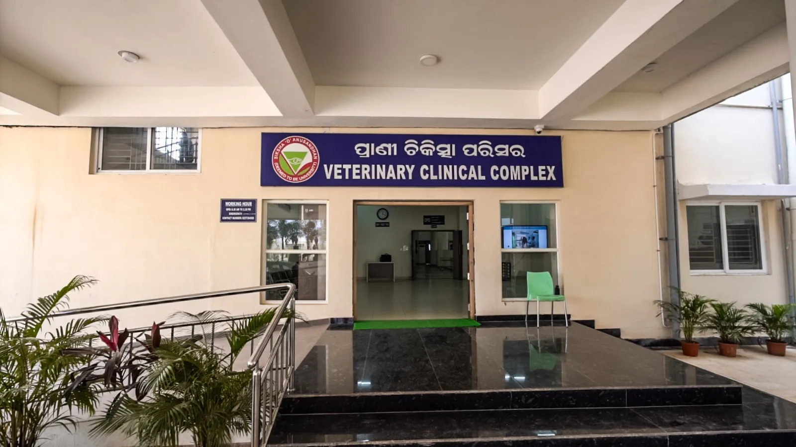 ରାସ୍ତା ଦୁର୍ଘଟଣାରେ ଗୁରୁତର ବାଛୁରୀର ଜୀବନ ରକ୍ଷା କଲା ସୋଆ ପଶୁ ଚିକିତ୍ସାଳୟ 