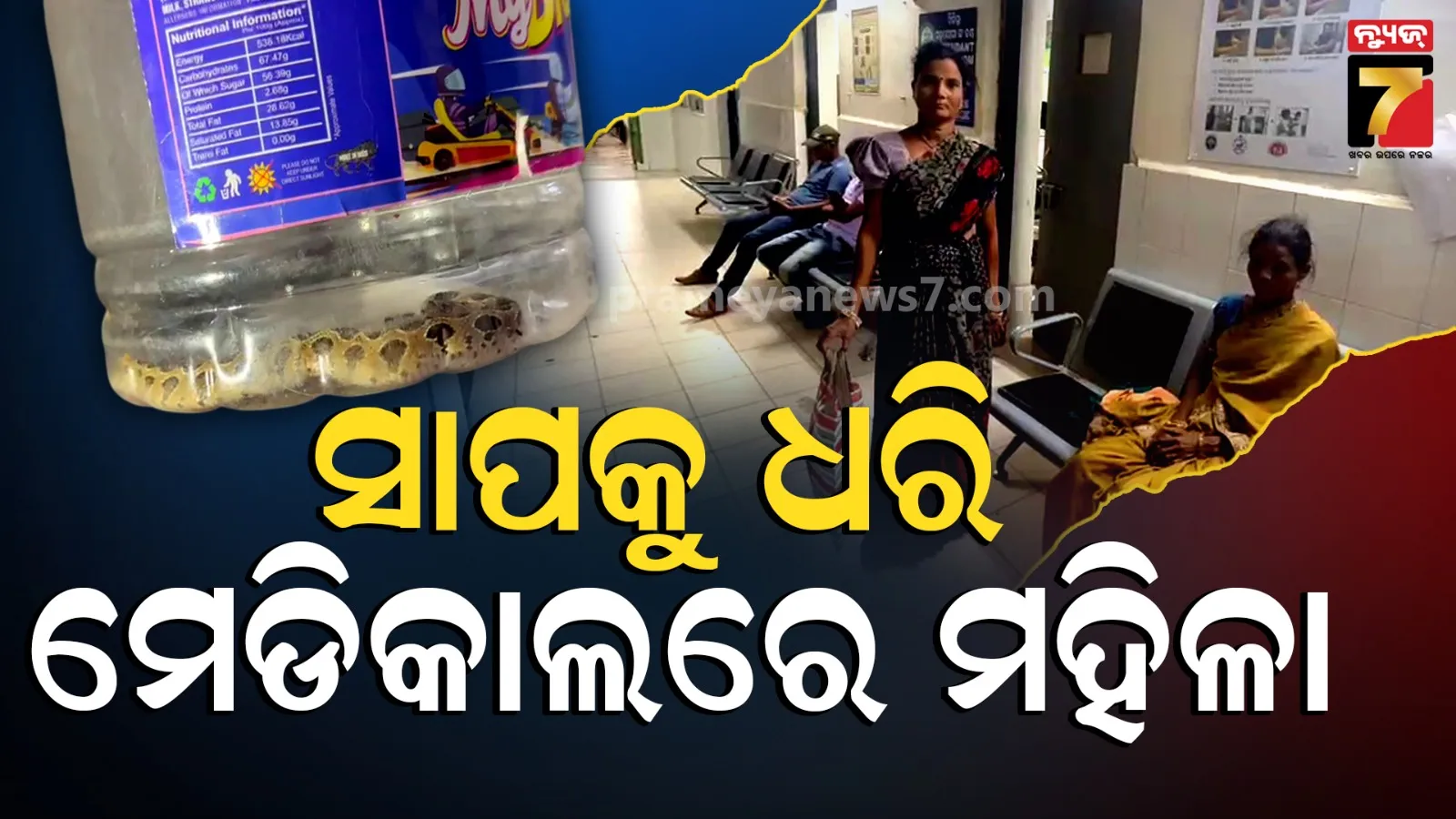 ମାନିବାକୁ ପଡ଼ିବ ମଣିମାଙ୍କ ସାହସ ! କାମୁଡ଼ିଥିବା ସାପକୁ ଡବାରେ ପୂରାଇ ପହଞ୍ଚିଲେ ଡାକ୍ତରଖାନା