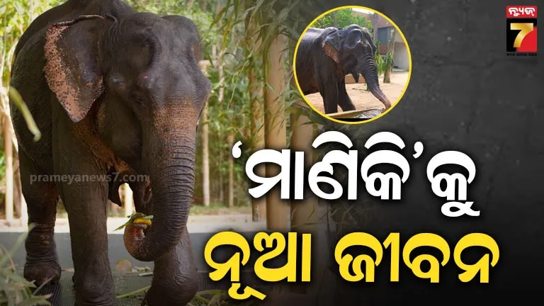 ବର୍ଷ ବର୍ଷର ଯନ୍ତ୍ରଣାରୁ ମିଳିବ ଉପଶମ, ଚିକିତ୍ସା ଓ ଉନ୍ନତ ଯତ୍ନ ପାଇଁ ଜାମନଗର ବନତାରାରେ ମାଣିକି