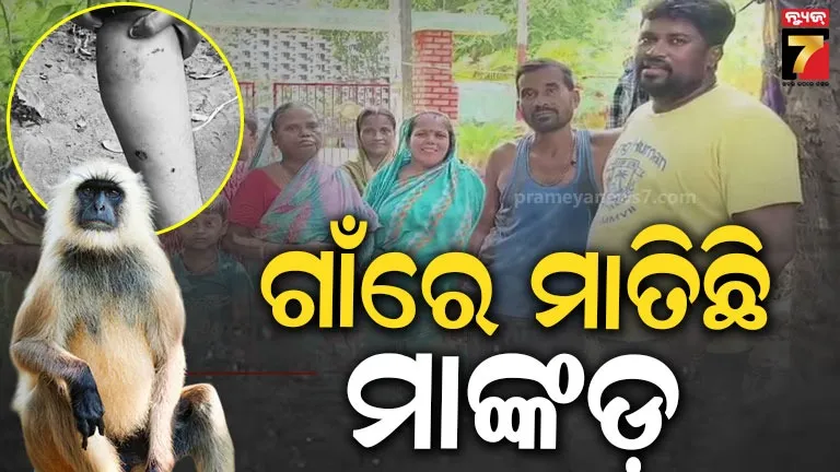 Villagers are scared of monkeys in Brahmanwadi village of Jagatsinghpur