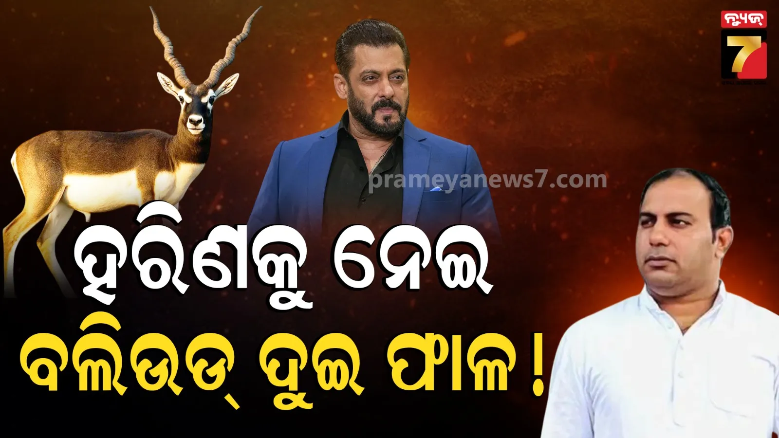 ହରିଣ ମୃତ୍ୟୁକୁ ନେଇ ଆସୁଛି ଫିଲ୍ମ ! ଚଳଚ୍ଚିତ୍ର ନିର୍ମାତାଙ୍କୁ ଧମକ ଦେଲେ ଦବଙ୍ଗ ଷ୍ଟାର ସଲମାନ ଖାନ୍‌ 